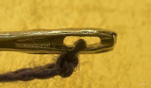 images/thumbnail.jpg - Thumbnail